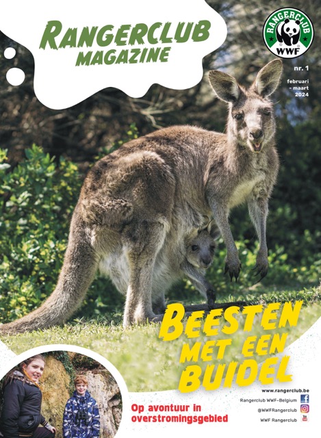 Magazine