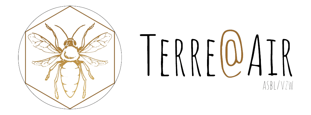 logo terreatair