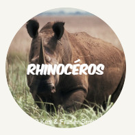 rhinoceros ROUND