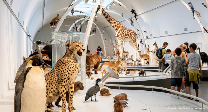 expo museum voor natuurwetenschappen