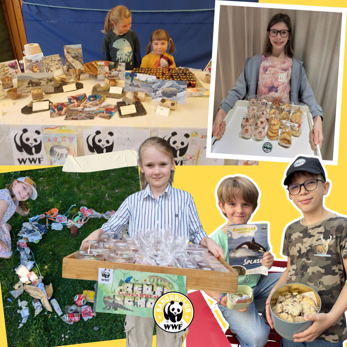 A collage of children. Some of them hold cookies that they're selling to raise money for the WWF-Rangerclub