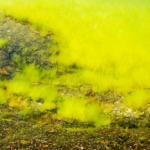 Pollution de l'eau