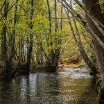 Waterweg