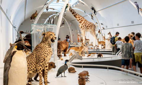 expo museum voor natuurwetenschappen