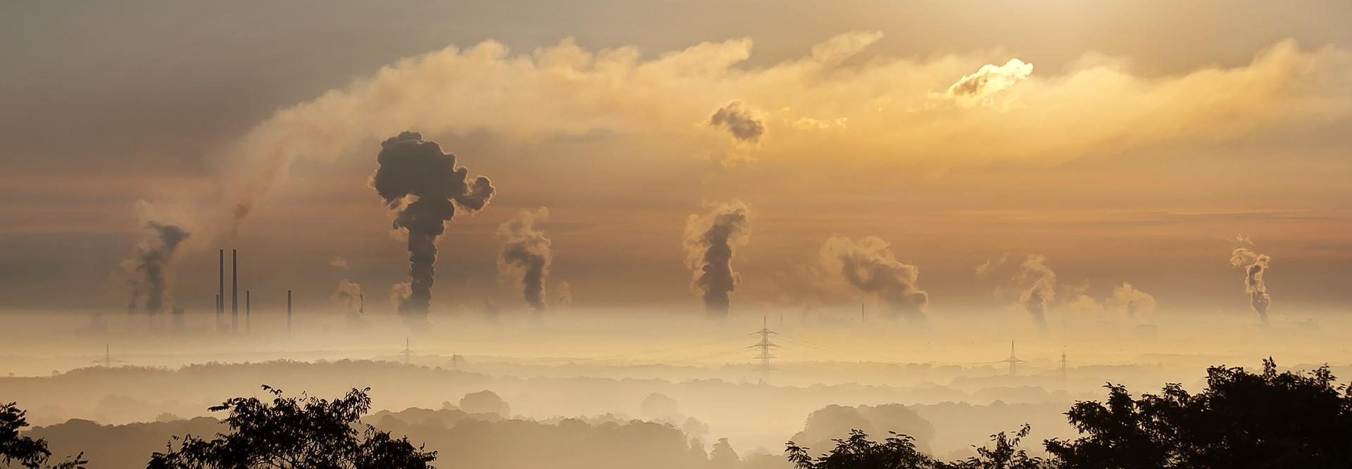 Plusieurs colonnes de fumée au loin, des arbres en avant-plan
