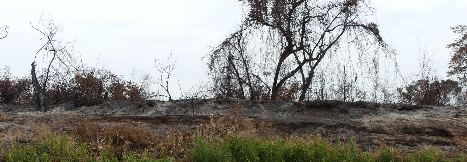 afgebrand gebied Pantanal