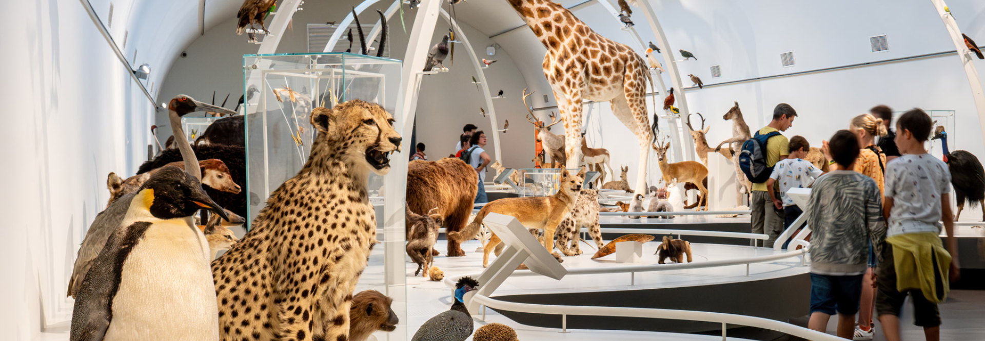expo museum voor natuurwetenschappen