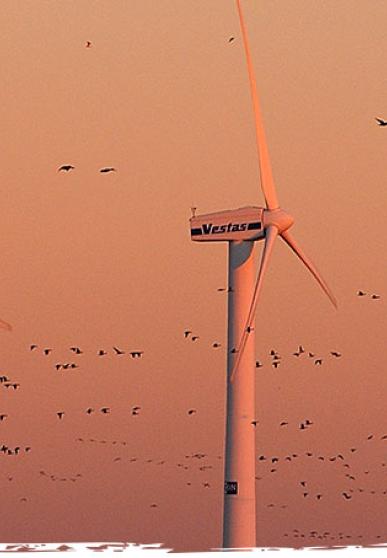 Éoliennes